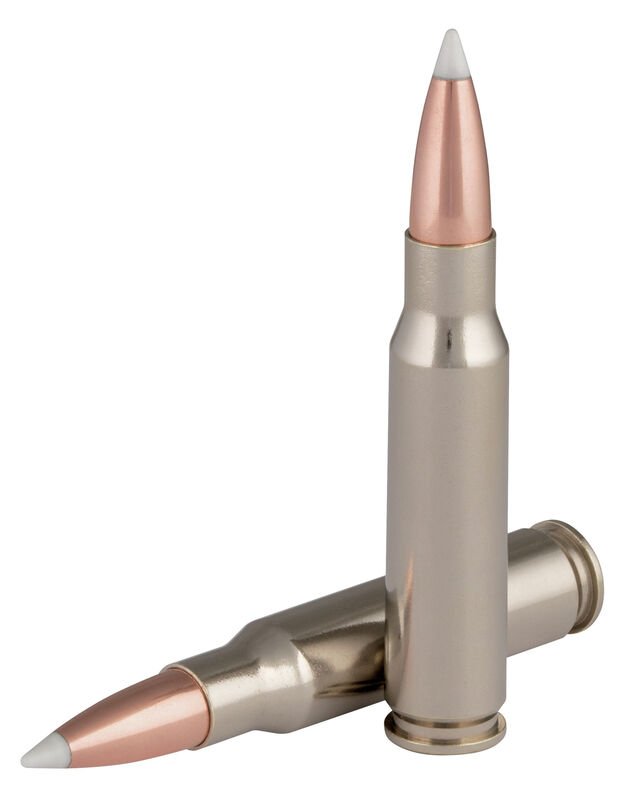 FP_NoslerAccuBond_308Win165gr_Cartridges FP NoslerAccuBond 308Win165gr Cartridges.jpg