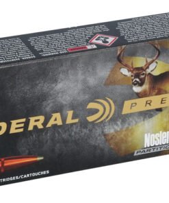 FP P223Q 223RemNoslerPartition R3.jpg