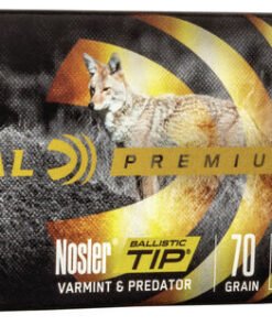 FP P243F 243WinNoslerBTVarmintPredator Combo Rm.jpg