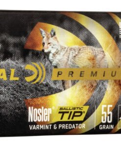 FP P243H 243WinNoslerBTVarmintPredator Combo Rm.jpg