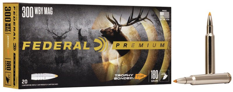 FP_P300WBTT1_300WeatherbyMagTBT_Combo_Rm FP P300WBTT1 300WeatherbyMagTBT Combo Rm.jpg