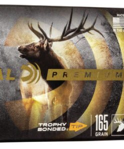 FP P300WTT2 300WinMagTrophyBondedTip Combo Rm.jpg