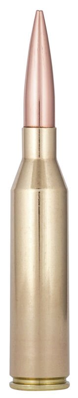 GM300NMBH1_300NormaMag_GoldMedalMatch_Cartridge GM300NMBH1 300NormaMag GoldMedalMatch Cartridge.jpg